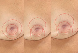 VECTRA XT: ��������� �����������