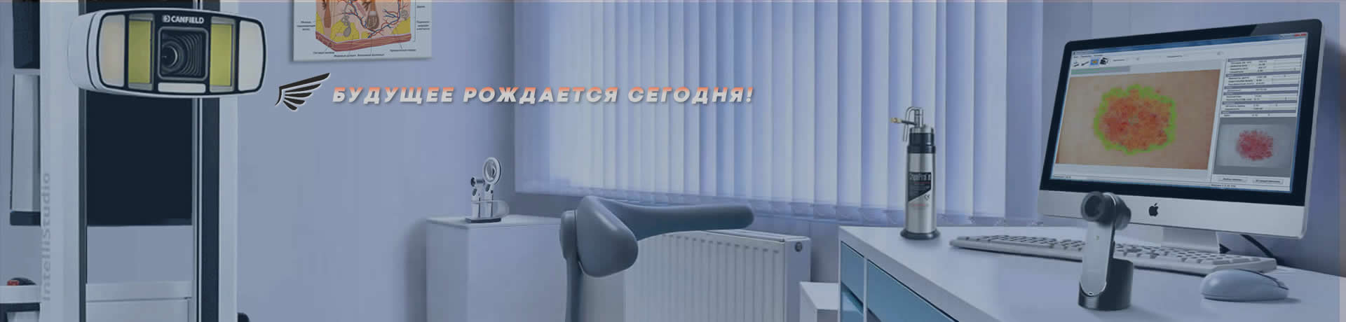 ������ ������� �����