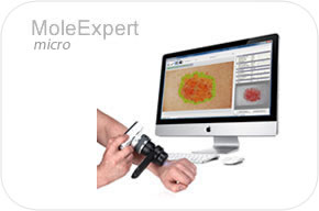  MoleExpert