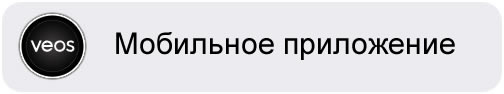 Заголовок автономного приложения VEOS